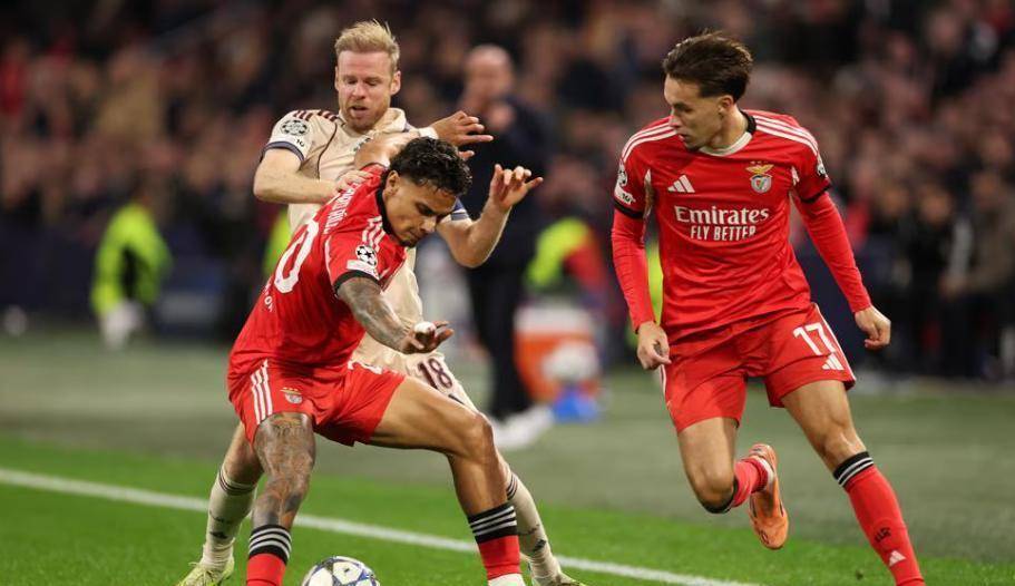 CBA本土球员表现观察